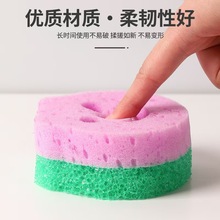 СЦĘdМغdN坍ˢˢͨմͺމK