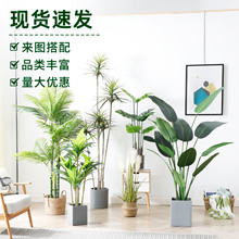 大型北欧仿真植物客厅假绿植仿真树旅人蕉盆栽造景装饰仿真绿植