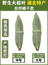 粽子叶新鲜大号5斤箬叶棕叶包粽子的叶子南方商用本地粽叶干大号