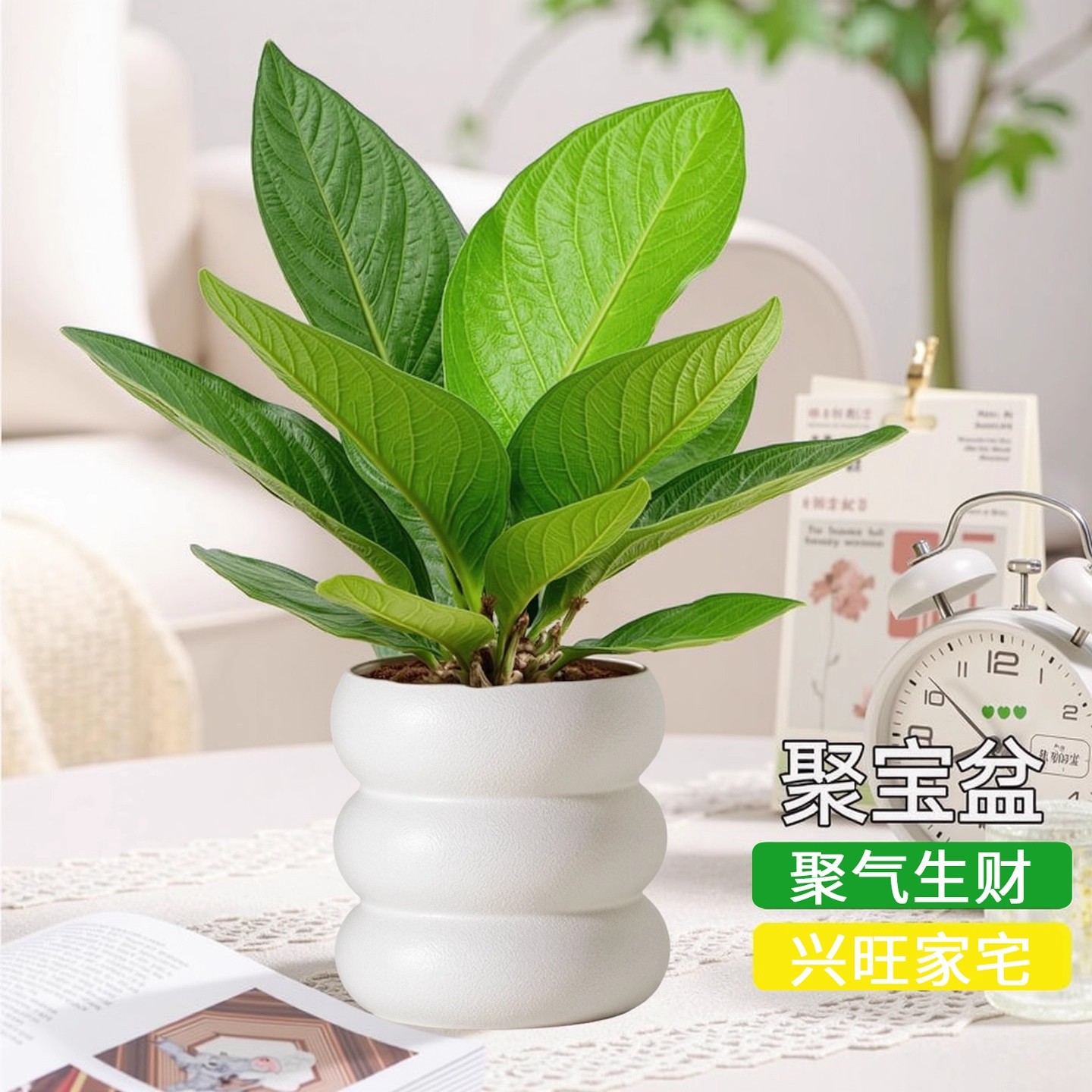 聚宝盆110#+云朵花盆