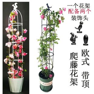 Special Bracket for Centipede Flowers, Rose Flower Stand, Gardening Climbing Plant, Clematis, Wisteria Climbing Balcony Support, European Style Flower