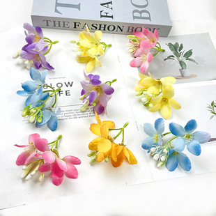 ����3�潑���Ļ��� diy�ֹ��^��������ϰ�����ҾӔzӰС�[��