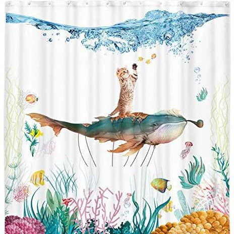 sfq-Fish