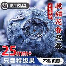 �{ݮ�r���{ݮ���rlL25���������{ݮ�߶�ˮ���{÷��ɽ���w��S