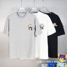 �߰汾����26�¿���ʿ����T���ɴ̽���ĸ�ވA�I���e�ٴ����l