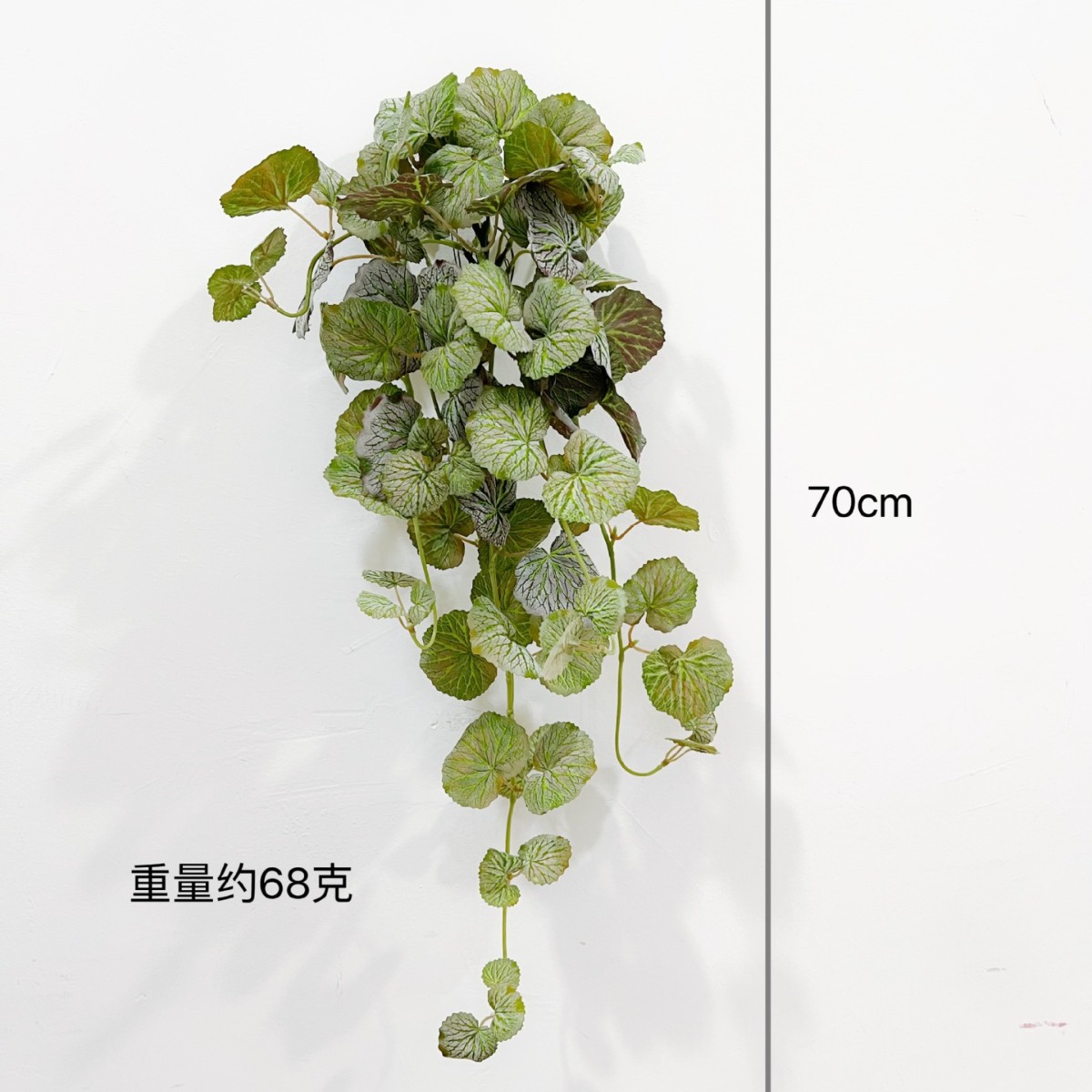 70cm 베고니아 벽 매달려 [심기 머리 가을 녹색]]