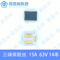 WPF15H-10 三端子ヒューズマルチセルリチウム電池 BMS 保護ボード 15A 48V14 シリーズ維安代理店