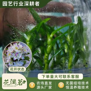 ��ʯ�� 3041 ؐ��ƿ���׳ɻ�M��С�� �҃������Ի�������r��