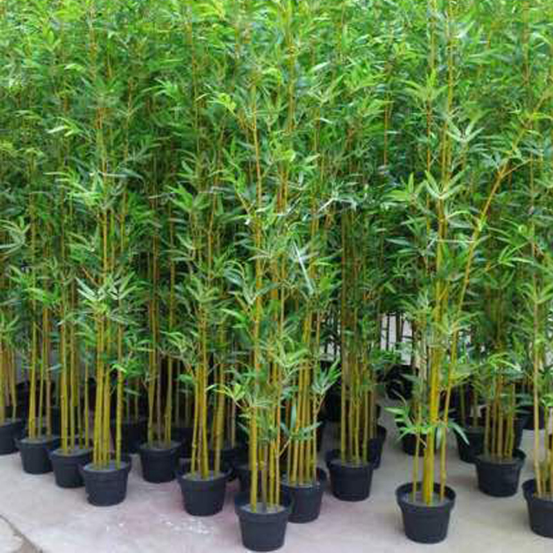 Bambú simulado Bambú falso Partición de sala de estar Plantas de paisaje interior Decoración al aire libre Bambú biónico Plantas verdes Pared de contención