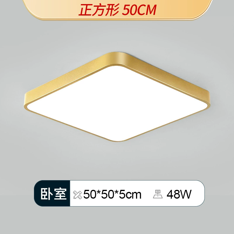 Golden LED ceiling light, lights for corridor, room light, light luxury style