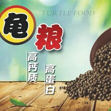小乌龟水龟高钙龟粮金钱龟鳄龟小甲鱼草龟巴西龟饲料补钙幼龟陆龟
