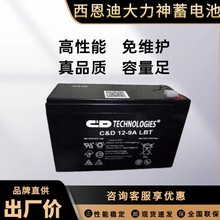 늳C&D12-100LBT(12V100AH)UPSEPSֱԴ