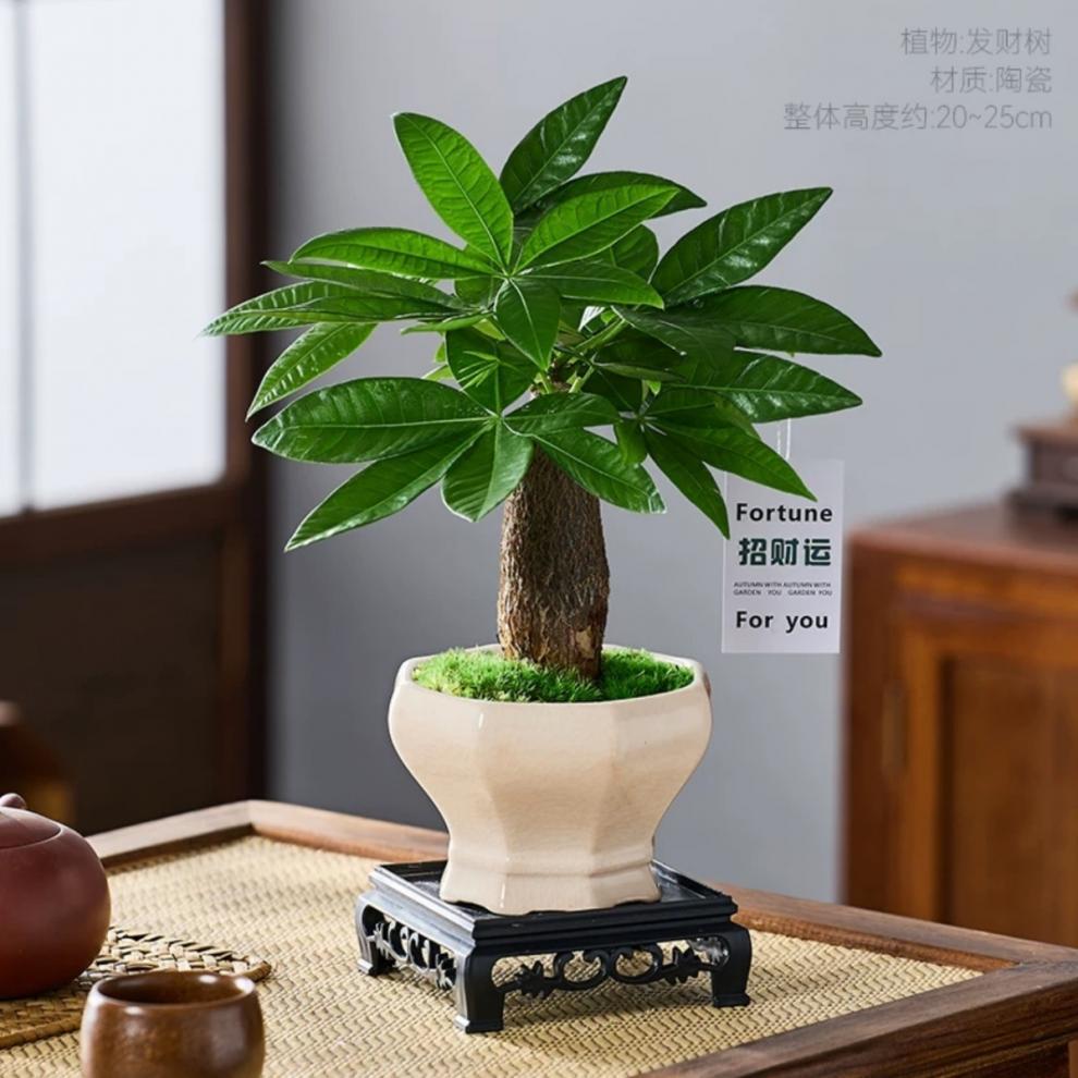 aeb1af14-899b-4792-aaf4-82c6b72e8929.jpe