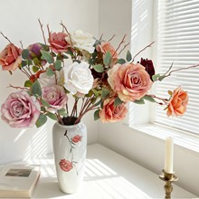 ��õ��ϵ��2�^̩��õ��c�b����ز����ٻ����l�͹��ϻ�õ�廨