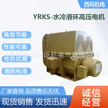 ����������YRKS6301-12��710KW 6KV��ѹ�����������첽�綯����