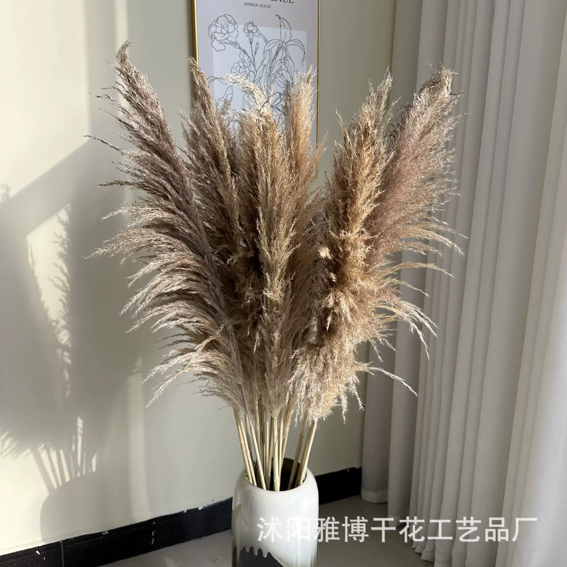 厂家直供芦苇公蒲苇室内家居装饰摆件婚庆摄影布景材料干燥干花