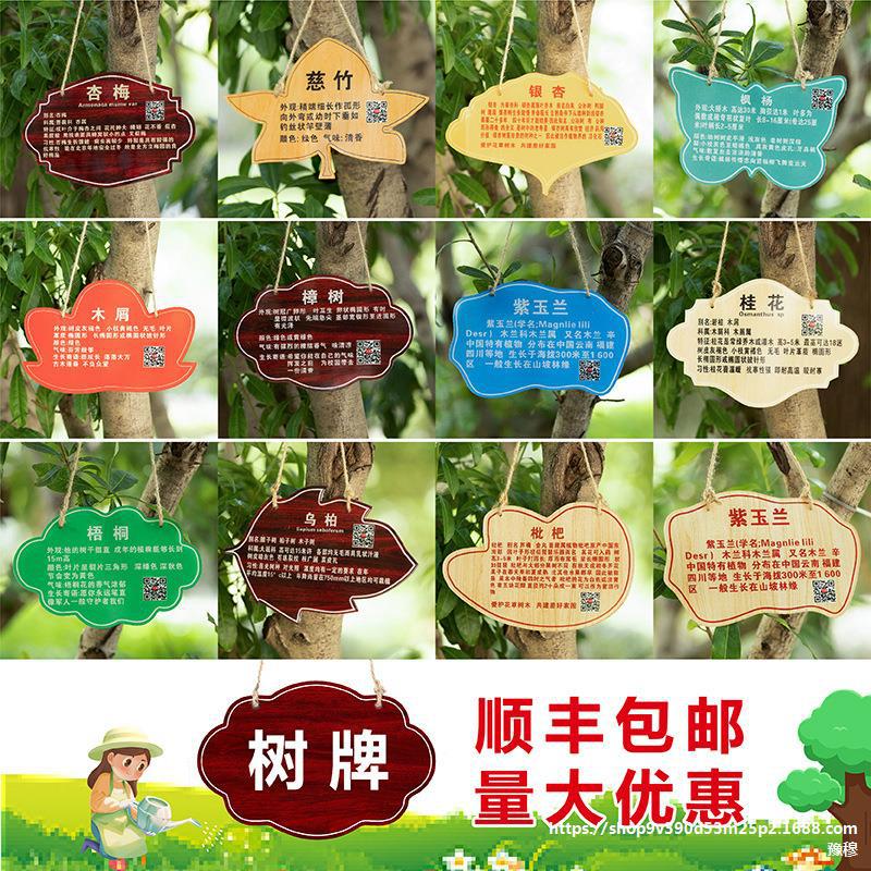 树牌挂牌植树节树木花草标识牌亚克力植物认养树名信息果树名称介