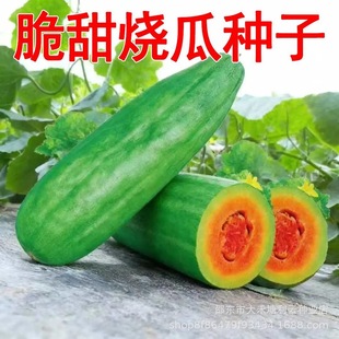 ������ϷN�Ӳ˹��ִ���ϸ߮a�ļ�ˮ���߲˷N