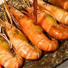 �������r�����팦�r�r�������ʳ���r�����r�������r�Y��