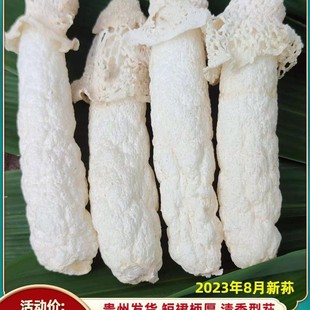�F�ݿ������p��؛�o���������º������r�t�����p��ȹ��O�����p��