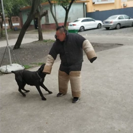 训练用品;狗狗牵引;狗狗玩具