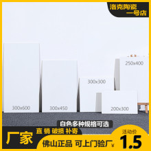 ���u300X600 �N���l���g�̨����ɫ�ɴu 250X400���ⷿ���̴u�شu