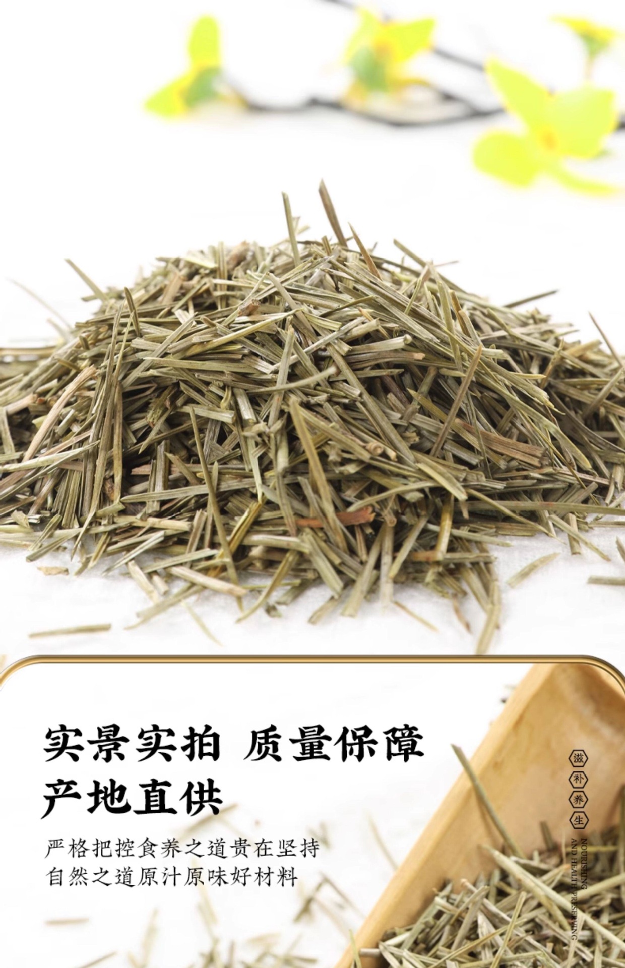 Dried Pine Needles Song Zhen 松针 1000g Loose Herbal Tea Masson Pine Needle Tea specifications