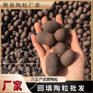 �������S�ҡ����������l���g���B�|���������p�|�������w������