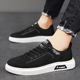 Men's Shoes Canvas Shoes Student Youth Summer 2024 New Low Top Cloth Shoes Men's Trendy Board Shoes Men's Breathable