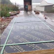 ˮģVݸĤҎ1830915/12202440 Dx