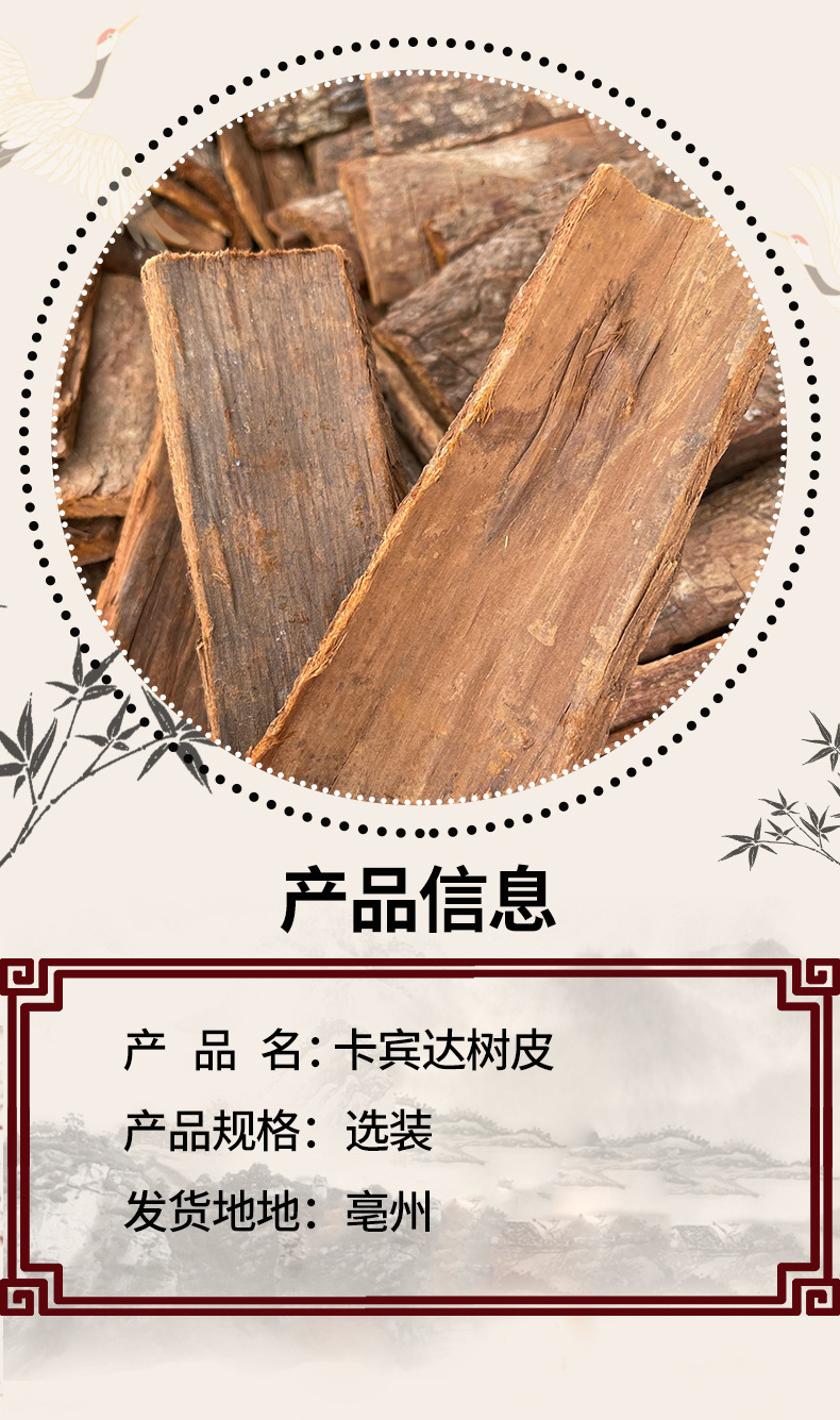 Cabinda Bark Dried Angolan Tree Bark for Herbal Tea and Infusions 500g Thick Cut overview