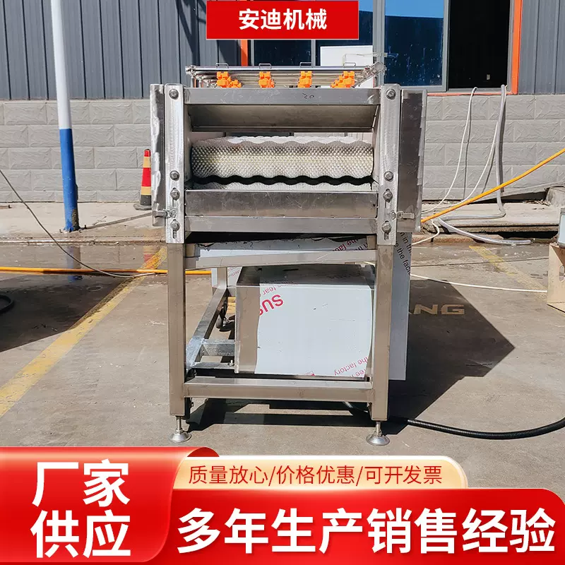 全自动商用毛辊清洗机 甘蔗竹子清洗设备 土豆胡萝卜山药去泥去皮