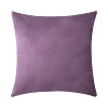 11297-81529 Light purple