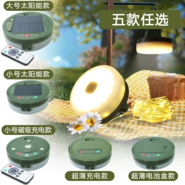 室内LED;室外LED;野营/露营灯