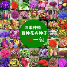 ���÷N��С���b�M�ϴ��l�ļ�ͨ���׷N��ͥ�@ˇ���N�ӏS���̨����