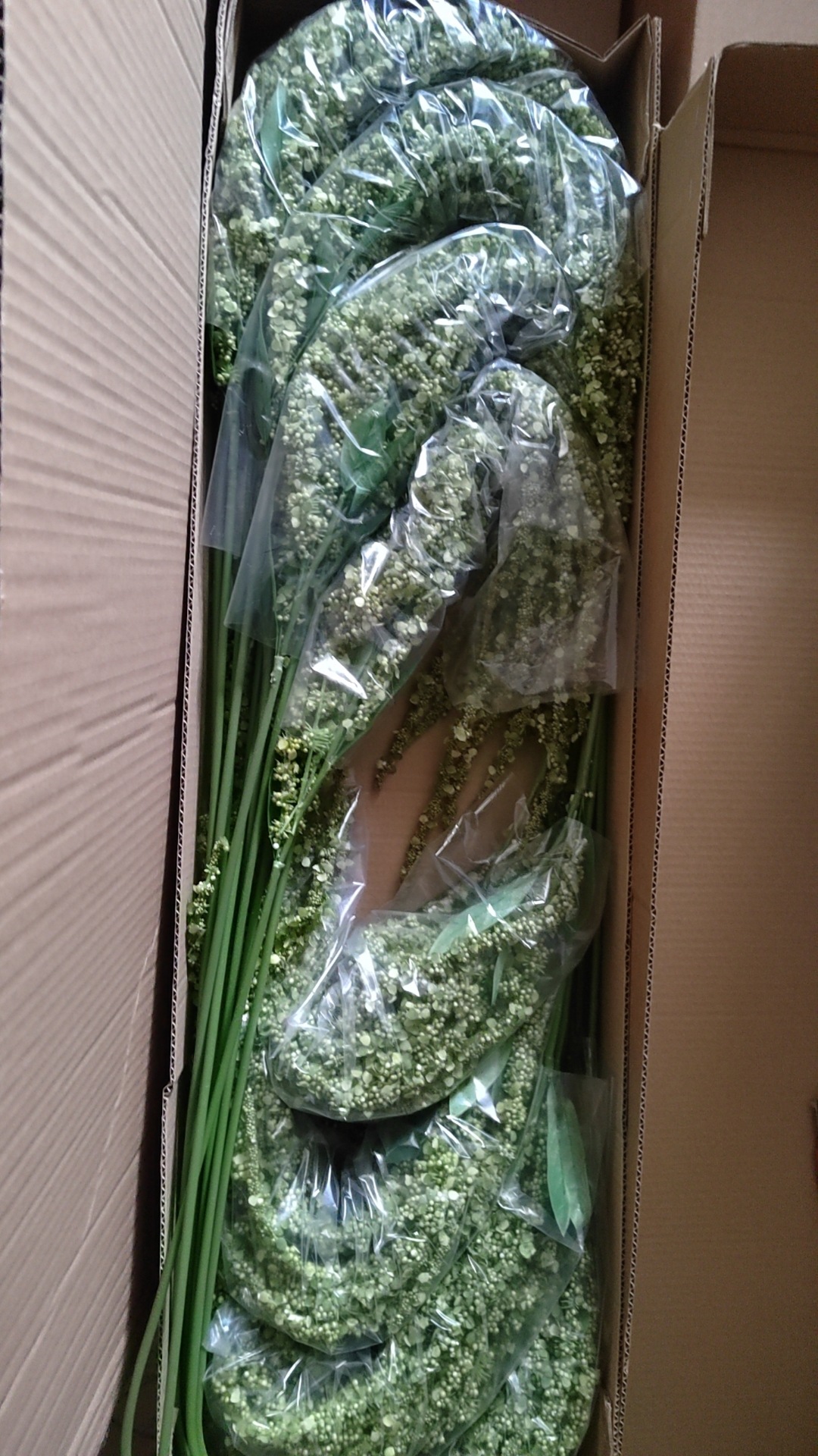 DA8B2DB2-4208-4DE3-BC40-9F84FA