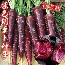 �Ϻں��}���N�Ӵ��＾ˮ���G�Ϻ��}���N�N���߲˷N���ļ��̨����