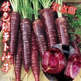 �Ϻں��}���N�Ӵ��＾ˮ���G�Ϻ��}���N�N���߲˷N���ļ��̨����