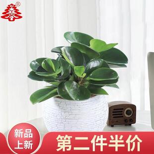 ���~����ˮ�ඹ��G�k�����������ֲ��Gֲ�A�~����ˮ�B��������