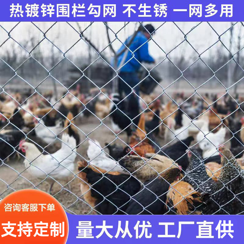 厂家批发矿用菱形网锚网 喷播绿化勾花网 铁丝编织勾花网喷浆挂网