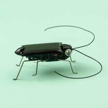 太阳能玩具昆虫蚂蚱 迷你科学DIY手工儿童模型 桌面装饰摆件 玩物