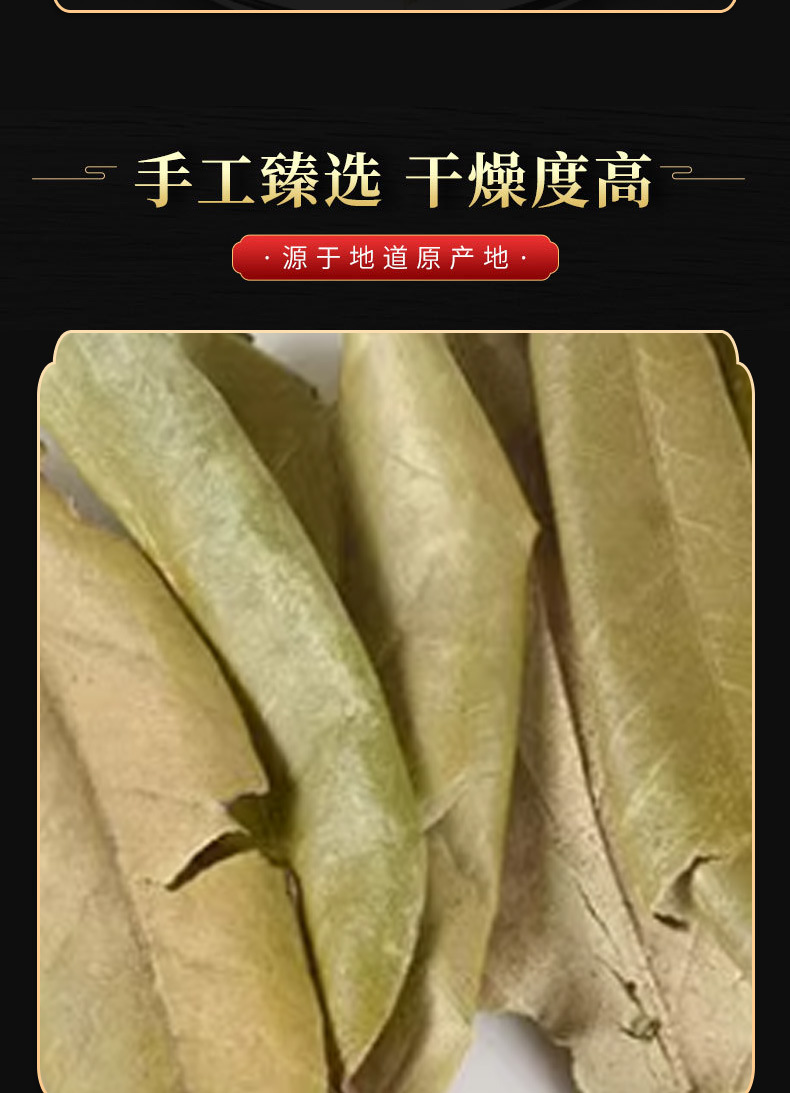 Hu Tui Zi Ye (Elaeagnus pungens Leaf) — Dried TCM Herb Leaf, 500g in use