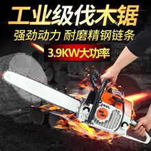 ¹˹ٶ250381רҵ;ⷥľ԰־;