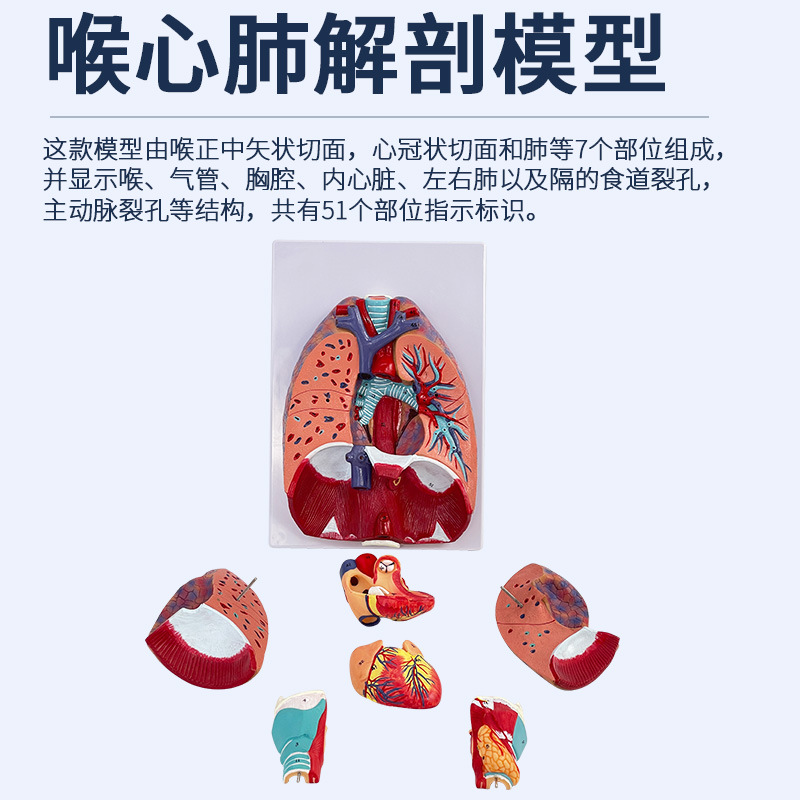 ҽ��������ķκ�����״�ٷ��������ϵͳ�β�������������ģ��