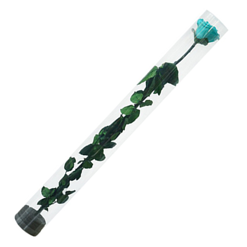 Naxi reina flor eterna tubo de ensayo ramo planta espécimen Qixi enviar novia transfronteriza Amazon adornos de suministro directo