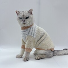 ペット用秋冬暖かいニット服、小型犬・中型犬・猫用、北欧風、フレンチブルドッグ、ポメラニアン、ビションフリーゼ用、ペット用防寒服