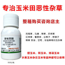 ݄ͪŴˮ׳݄tݹβݿs