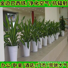 ��߅�����F Ҳ�T�F ����ľ �҃ȿ͏d�����辰ֲ�� �Gֲ���Ի���