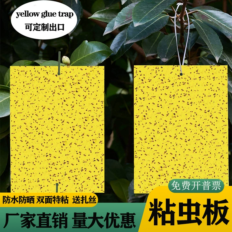 Липкая доска желтая доска Ловушка доска производители поставляют Фруктовый сад теплицы специальная двухсторонняя синяя доска трипсы белокрылка палка доска