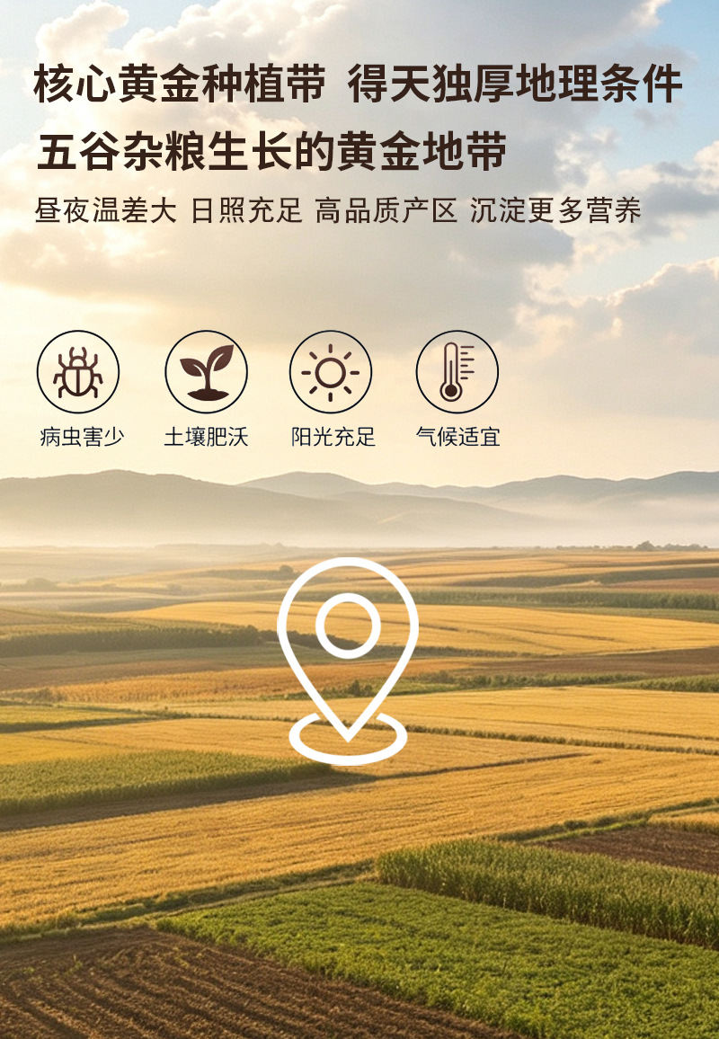 Five Black Congee Mix Wu Hei Zhou 500g Nutritious Whole Grain Breakfast Porridge Blend preparation